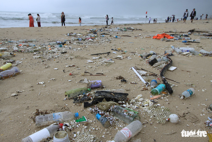 Sinh vật biển theo rác thải trôi dày đặc trên bãi biển Đà Nẵng - Ảnh 2.