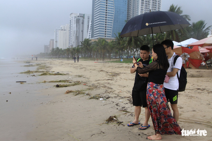 Sinh vật biển theo rác thải trôi dày đặc trên bãi biển Đà Nẵng - Ảnh 6.