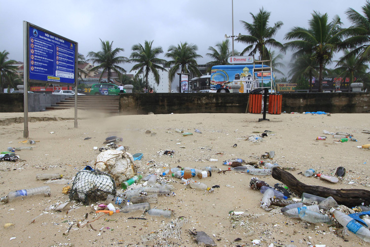 Hoa khôi sinh viên Việt Nam dọn vệ sinh bãi biển sau mưa lũ - Ảnh 3.