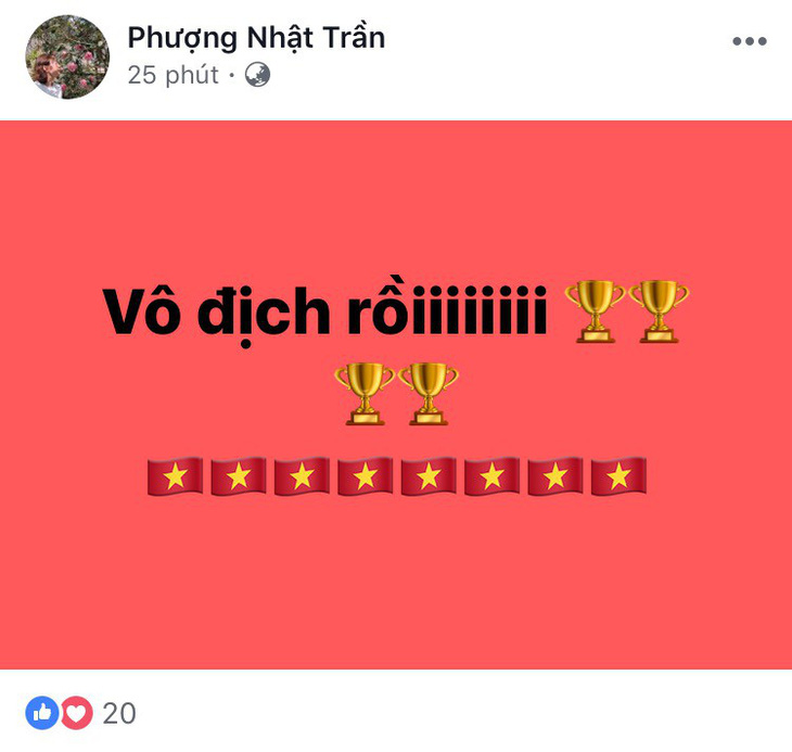 Dân mạng nhuộm đỏ mạng xã hội khi tuyển Việt Nam vô địch - Ảnh 5.