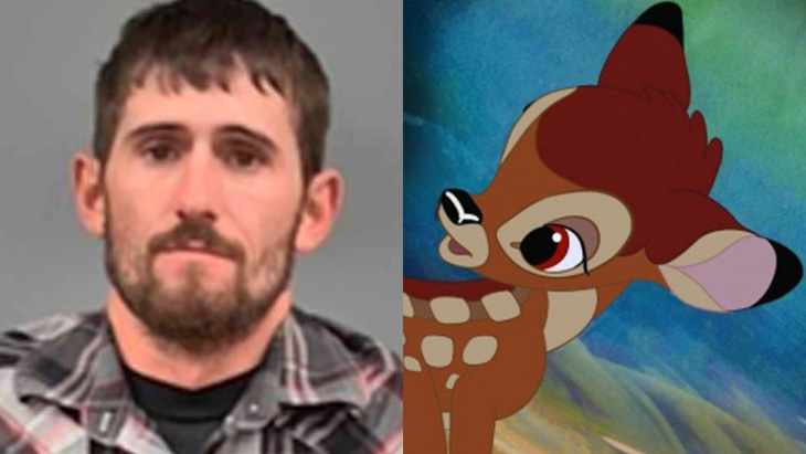 Giết nai, bị tòa tuyên phải xem phim hoạt hình nai Bambi trong tù - Ảnh 2.