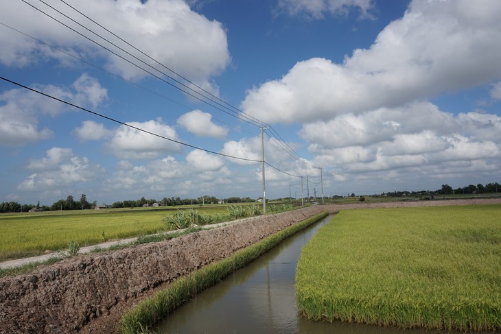 Trà Vinh: “Ốc đảo” Cồn Phụng đã có điện lưới quốc gia - Ảnh 1.