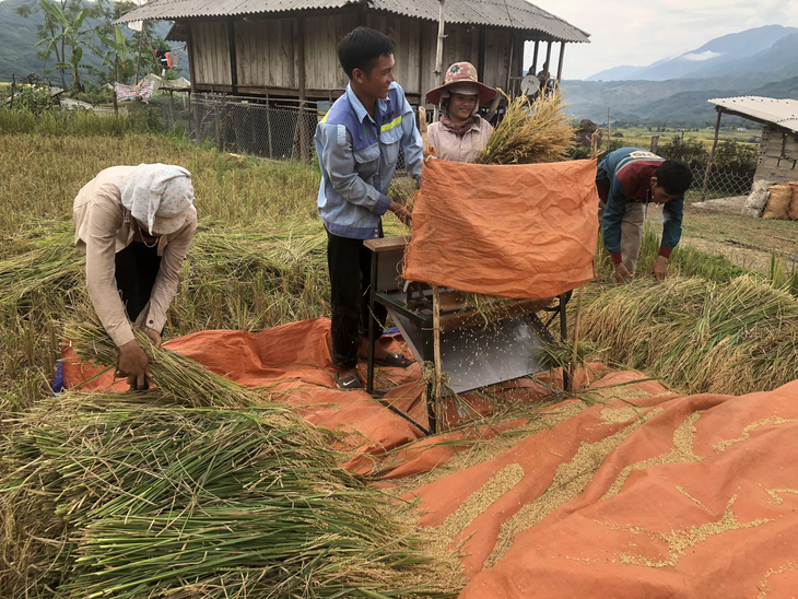 Noong Hẻo hồi sinh sau nạn vàng tặc - Ảnh 1.