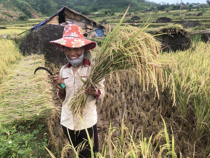 Noong Hẻo hồi sinh sau nạn vàng tặc - Ảnh 6.