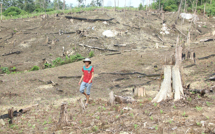 Cách chức phó chủ tịch huyện hợp thức hóa đất rừng cho vợ