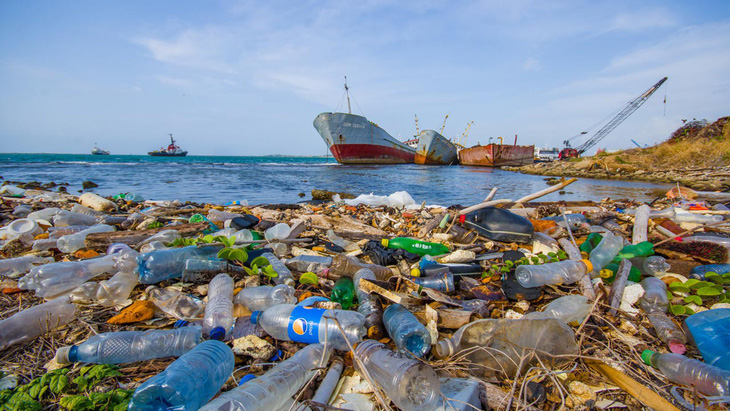 Rác thải nhựa làm ô nhiễm những tầng sâu nhất của đại dương - Ảnh 1.