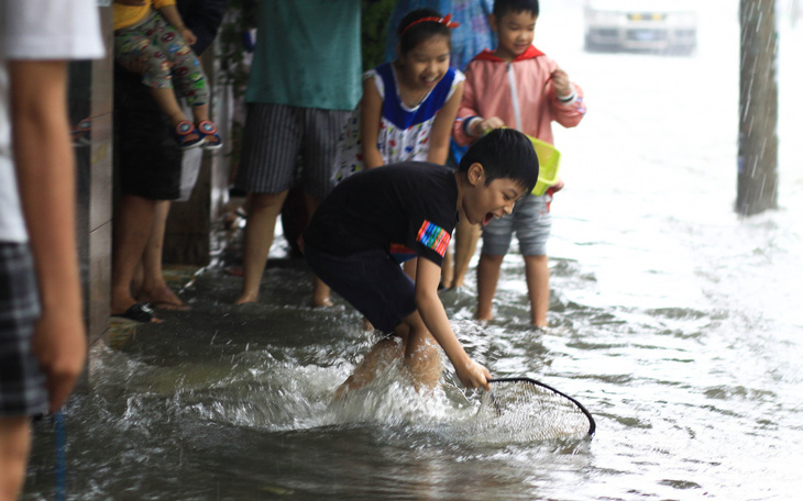 Sau mưa, dân Đà Nẵng nô nức ra đường bắt cá