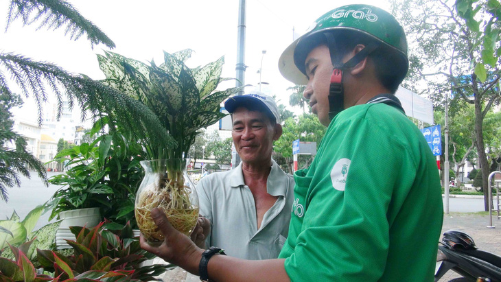 Người nuôi chim trời giữa lòng  thành phố - Ảnh 3.