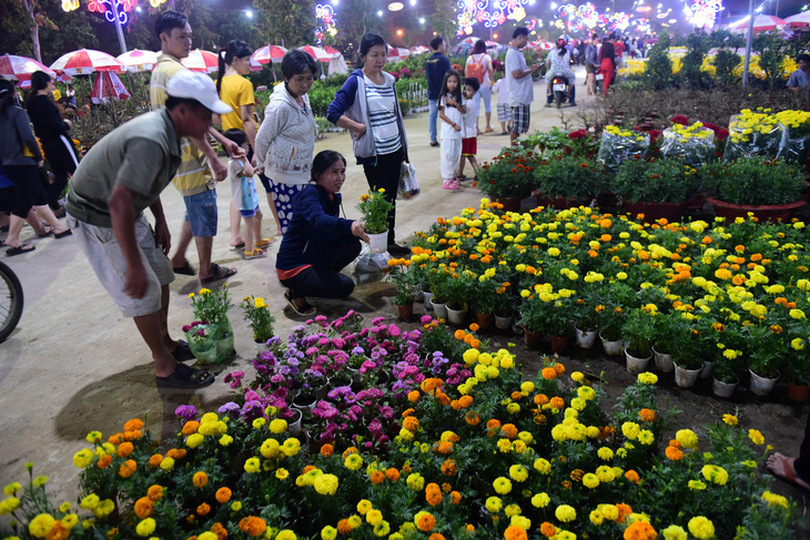 Sài Gòn khai mạc chợ hoa xuân Bình Điền - Ảnh 6.