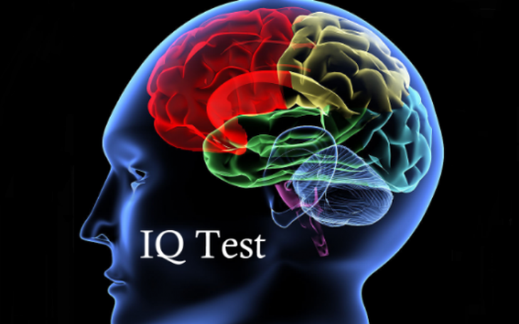 Đầu năm test IQ 