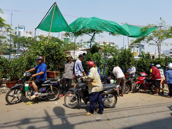 29 Tết: Mai, tắc giảm giá, dân Sài Gòn tranh thủ mua - Ảnh 2.