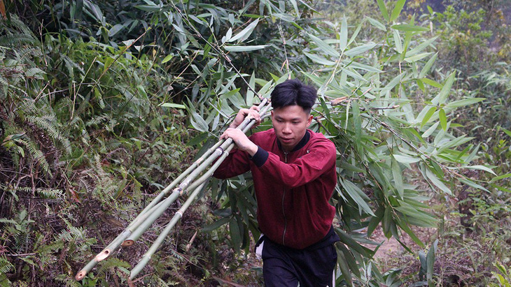 Theo chân người Tày vào rừng lấy cây nêu đón Tết - Ảnh 6.