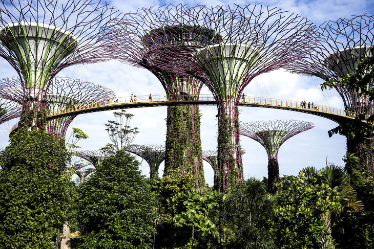 Những khu vườn trên cao nổi tiếng ở Singapore - Ảnh 1.