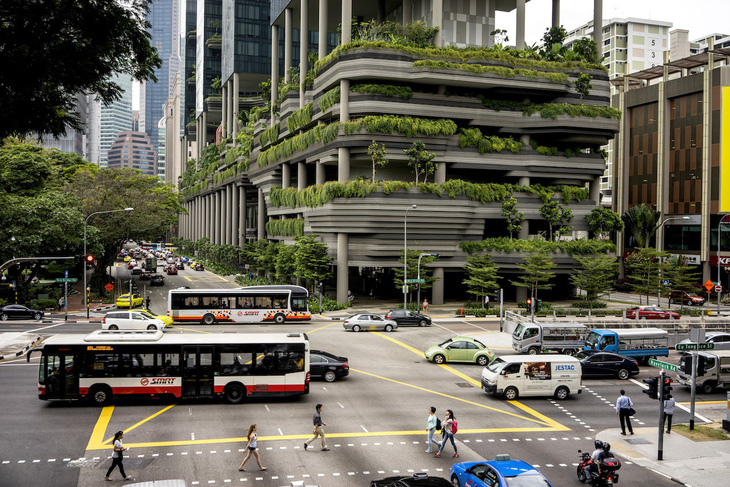 Những khu vườn trên cao nổi tiếng ở Singapore - Ảnh 5.