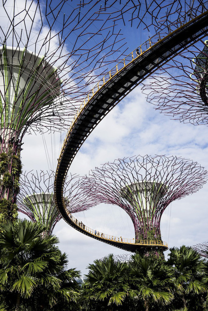 Những khu vườn trên cao nổi tiếng ở Singapore - Ảnh 9.