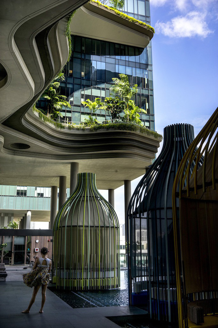 Những khu vườn trên cao nổi tiếng ở Singapore - Ảnh 10.