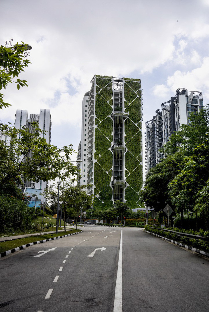 Những khu vườn trên cao nổi tiếng ở Singapore - Ảnh 11.