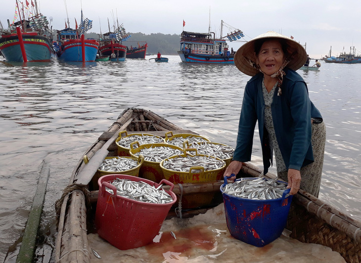 Mở biển, ngư dân trúng đậm cá cơm, mỗi đêm lời trăm triệu - Ảnh 7.