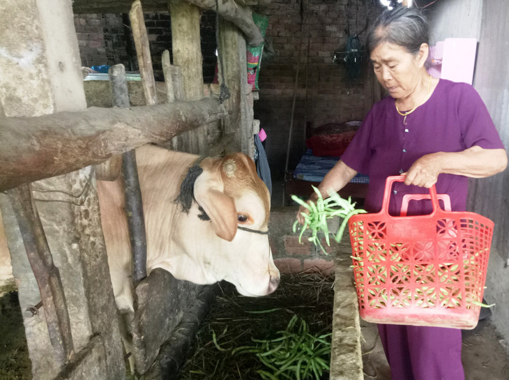 Bán 20kg rau không mua nổi một tô bún - Ảnh 1.