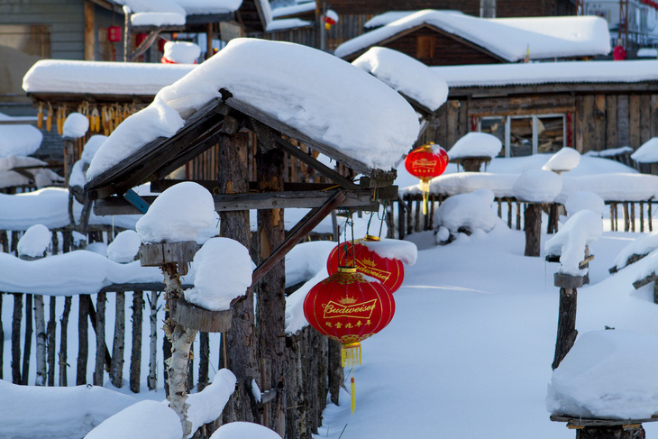 Ngôi làng tuyết trắng đẹp như trong cổ tích ở Cáp Nhĩ Tân - Ảnh 3.
