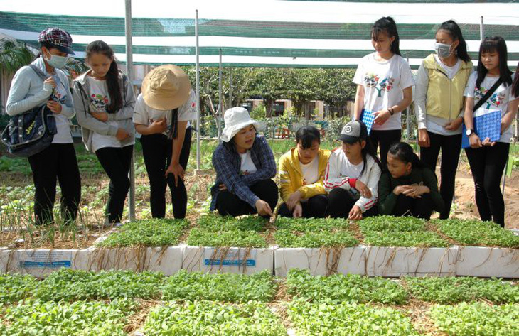 Dạy trò trồng rau hữu cơ theo chuẩn Nhật Bản - Ảnh 1.