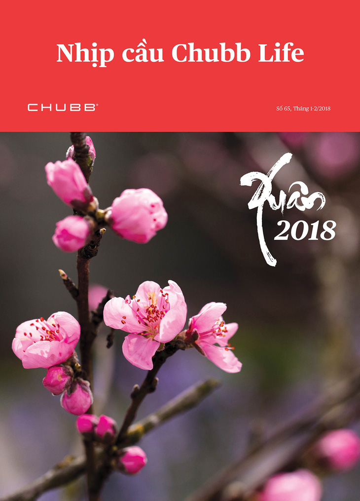 Chubb Life Việt Nam đã hoàn thành vượt kế hoạch năm 2017 - Ảnh 2.