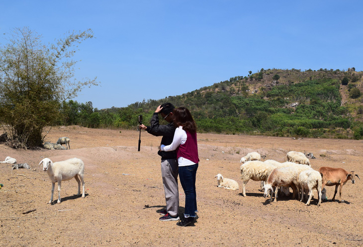 Thu chục triệu mỗi tháng nhờ đồng cừu Suối Nghệ ở Bà Rịa - Vũng Tàu - Ảnh 5.