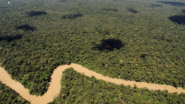 Rừng Amazon sắp mất nửa số loài vì biến đổi khí hậu? - Ảnh 1.