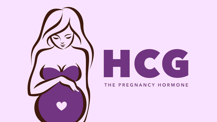 Những điều cần biết về hCG khi mang thai - Ảnh 1.