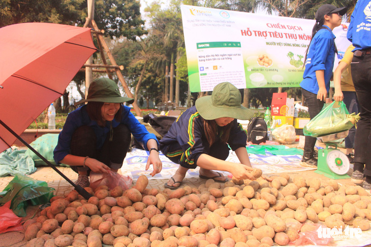 Giá giải cứu khoai tây: 12.000 đồng/kg, su hào: 3.000, củ cải: 4.500 - Ảnh 3.