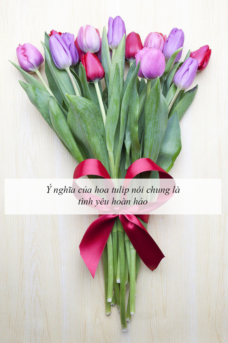 Ý nghĩa của các loài hoa tặng người phụ nữ ta thương - Ảnh 5.