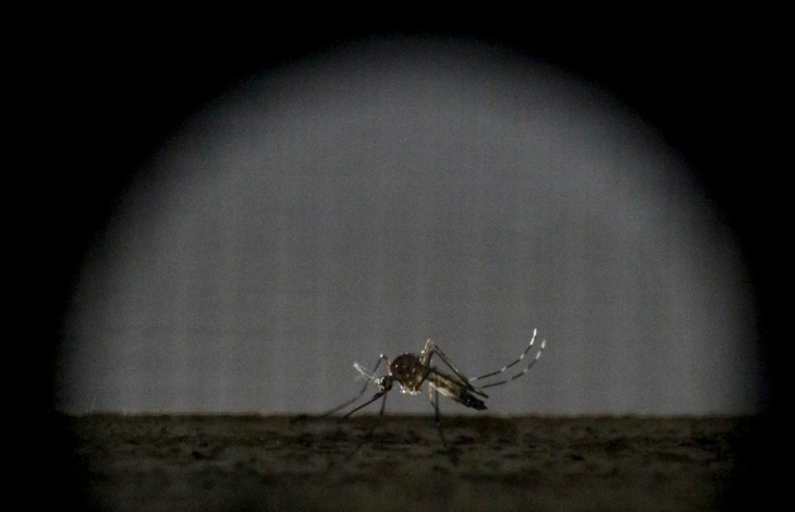 Máy phát hiện muỗi từ xa 2km - Ảnh 1.
