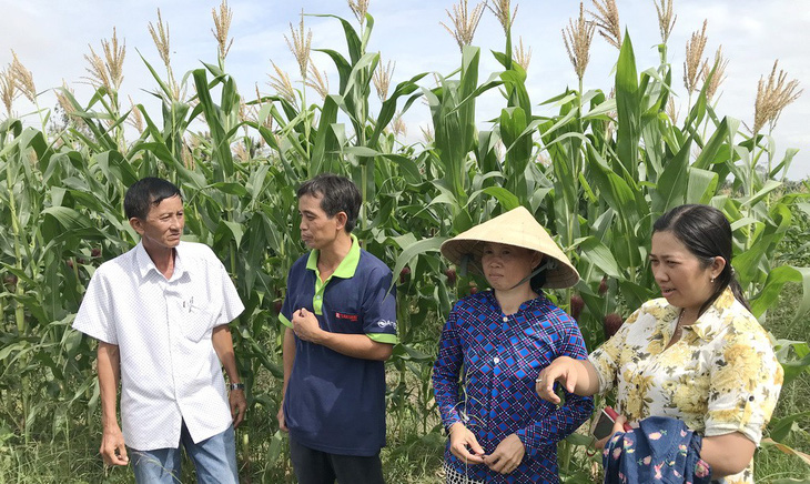 Ngân hàng của những chị em nghèo - Ảnh 1.