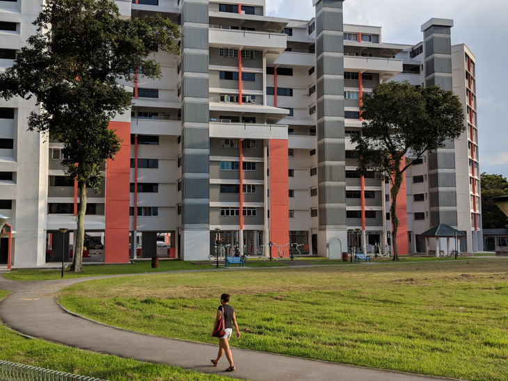 Chung cư HDB Singapore: Thảm họa cho chủ hộ nếu mèo... chui vô nhà - Ảnh 1.