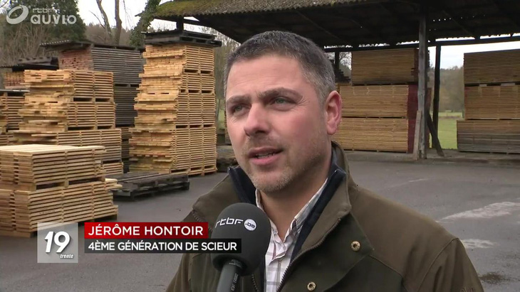 Trung Quốc mua gom gỗ, thợ Bỉ chết điếng vì mất việc - Ảnh 2.