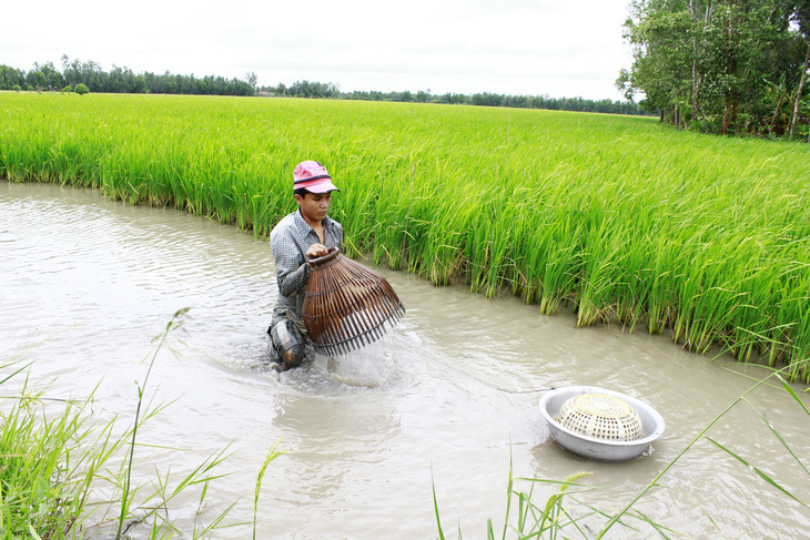 Đồng bằng sông Cửu Long: Thuận thiên, vượt đại dịch - Ảnh 2.