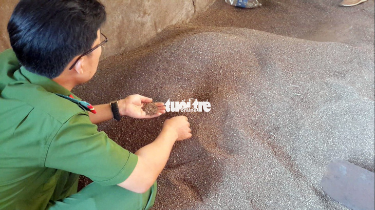Còn nhiều cà phê bẩn trộn than pin tại thủ phủ Đắk Nông - Ảnh 9.
