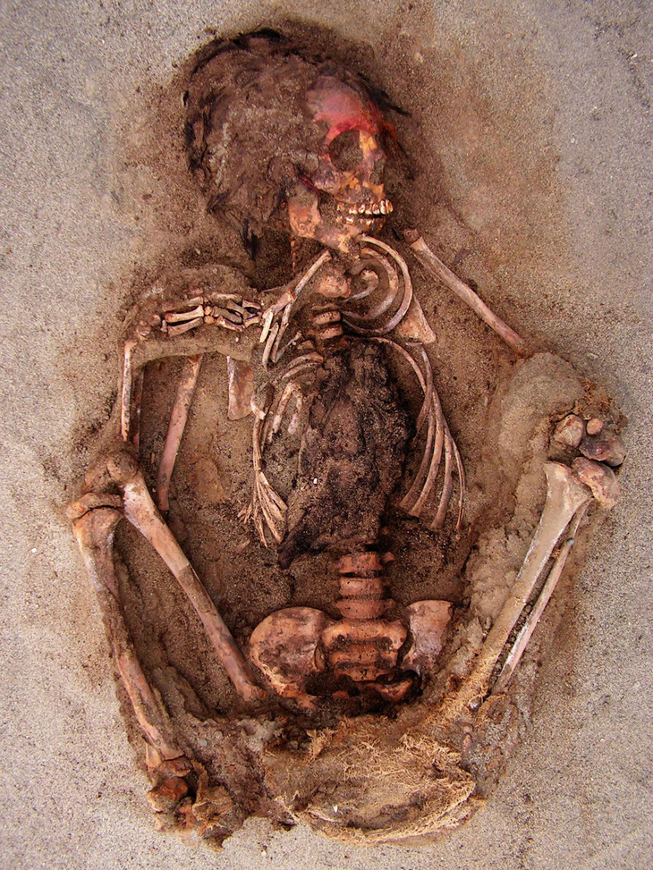 Kỳ bí ngôi mộ chôn nhiều hài cốt trẻ em cùng lạc đà ở Peru - Ảnh 2.