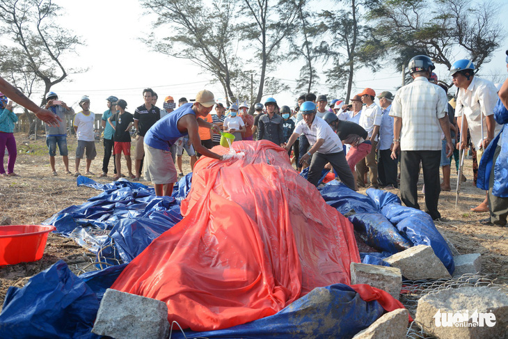 Tẩm liệm, an táng cá Ông 2,5 tấn chết trôi dạt vào bờ - Ảnh 6.