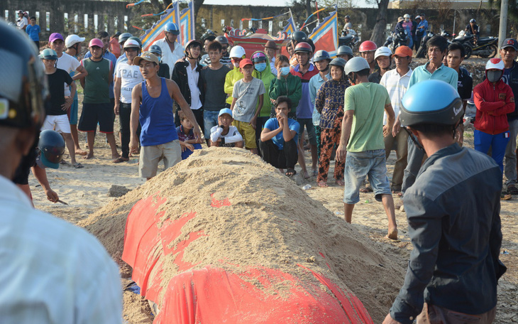 Tẩm liệm, an táng cá Ông 2,5 tấn chết trôi dạt vào bờ