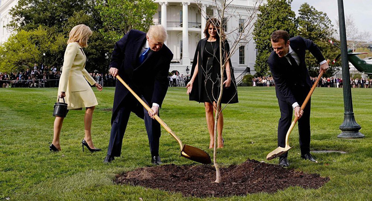 Cây sồi ông Macron, ông Trump cùng trồng ở Nhà Trắng biến đi đâu? - Ảnh 1.