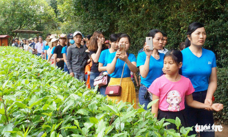 Nha Trang du khách ùn ùn ra đảo, di tích Kim Liên ùn ứ kéo dài - Ảnh 5.