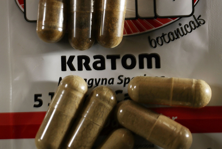 Thực phẩm thảo dược Kratom nhiễm khuẩn salmonella - Ảnh 1.