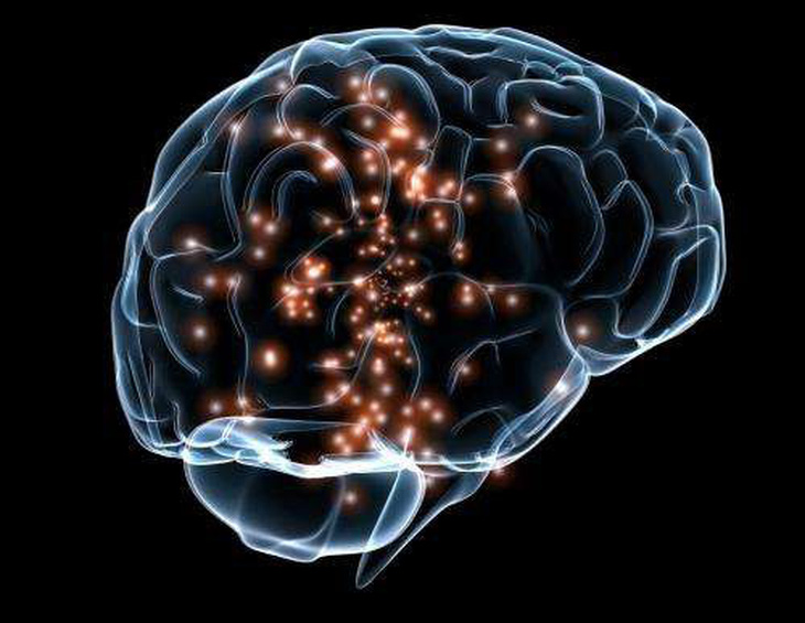 Nghiên cứu mới lại khẳng định não người già vẫn sản xuất nơ-ron thần kinh - Ảnh 2.