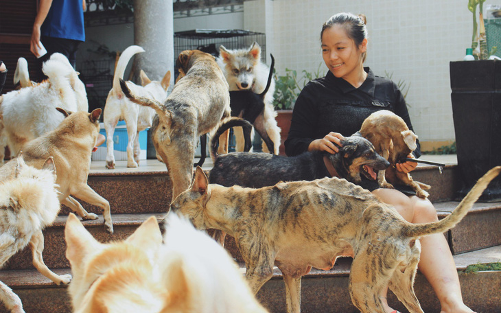 Cô gái 9X &quot;làm mẹ&quot; của hơn 100 chó mèo hoang