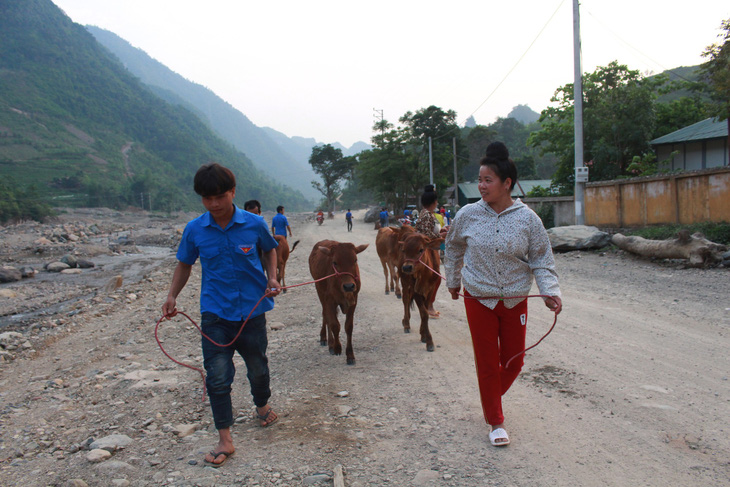 Báo Tuổi Trẻ tặng bà con vùng lũ Sơn La 30 con bò giống - Ảnh 8.