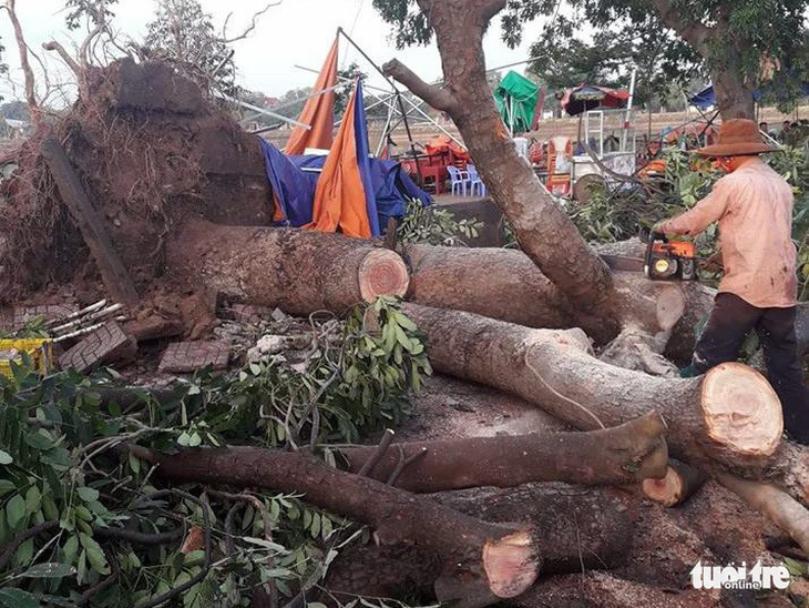 1 người chết, 200 nhà hư hỏng trong lốc xoáy bất ngờ tại Đắk Lắk - Ảnh 2.