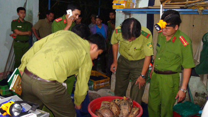 Quảng Nam phá đường dây buôn bán động vật hoang dã - Ảnh 1.