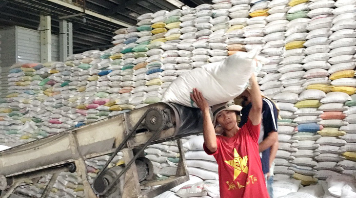 Việt Nam thất bại trong đấu thầu bán gạo cho Philippines - Ảnh 1.