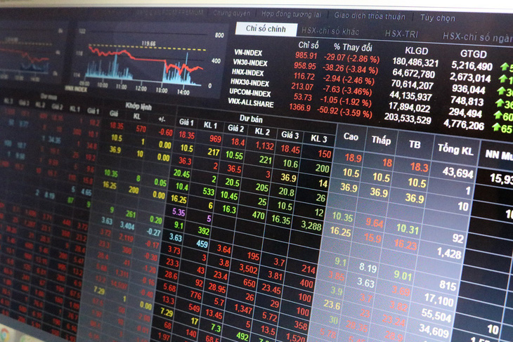 VN Index mất thêm 29 điểm, chính thức thủng đáy 1.000 điểm - Ảnh 1.